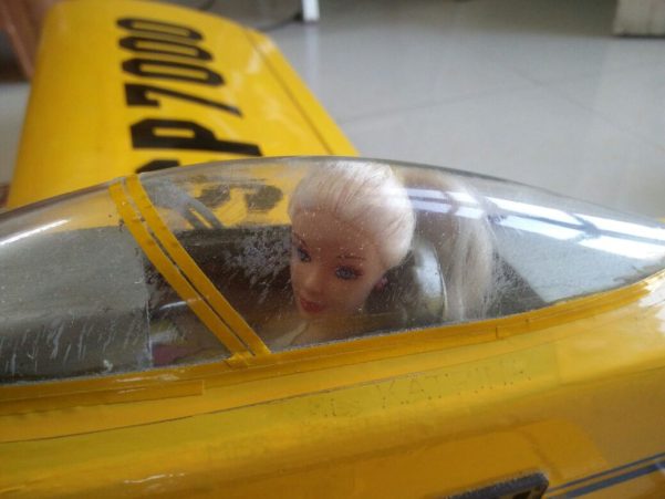 RC Plane for Hobby Flying - Made in India