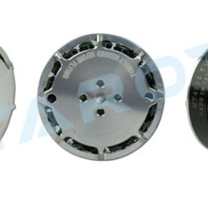 Tarot 4008 Martin Long Flight Time Brushless Motor (TL2955) in India